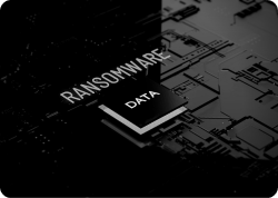 The Rhysida gang demand $1.5M for patient data targeting Colorado based health system