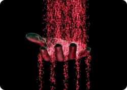 Warlock-ransomware-auctions-files